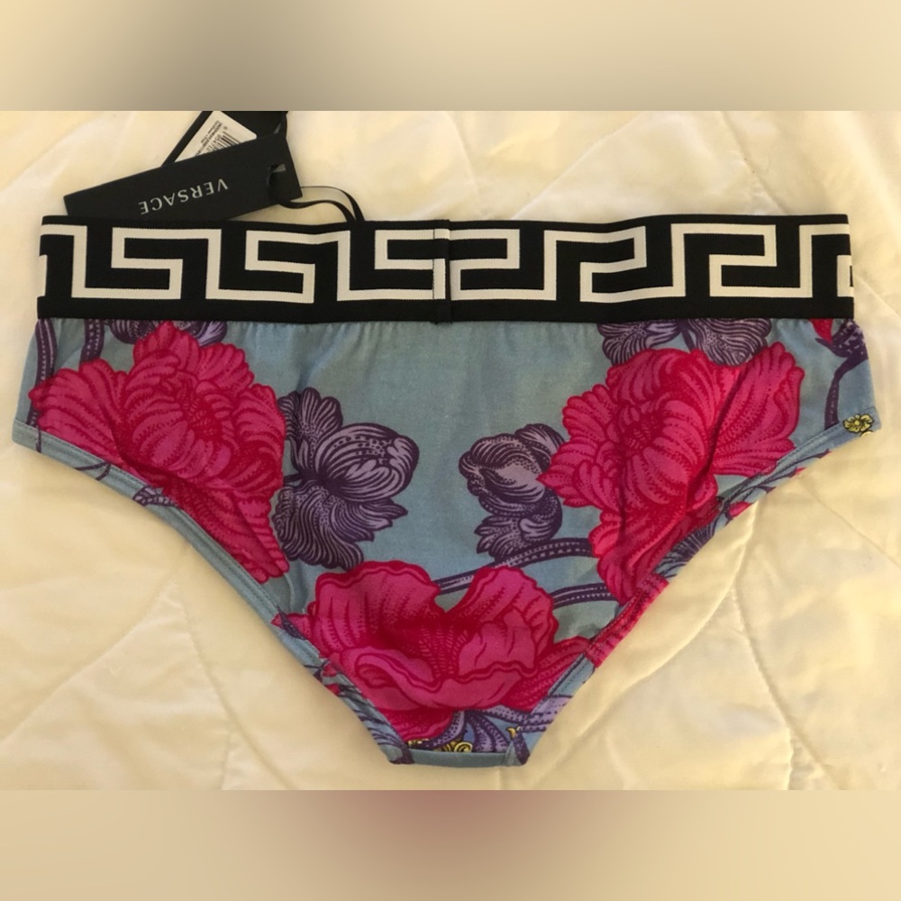 Versace Printed Greca Border Bikini Briefs - Picture 2 of 9